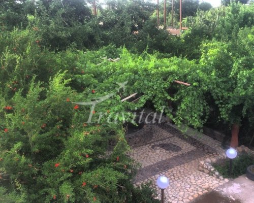 دار الضيافة کدین کرمان 5